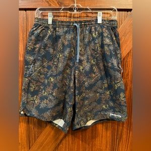PATAGONIA Shorts w/ Liner